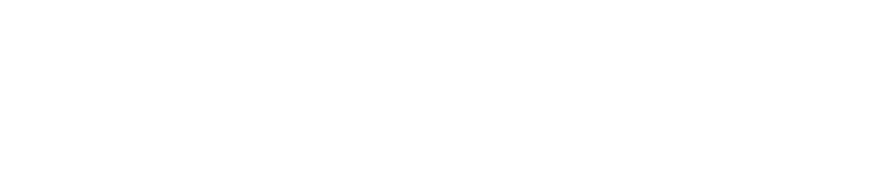 White Logo on Transparent BG copy